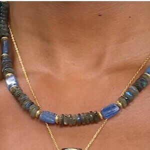 RARITIES Carol Brodie KYANITE & LABRADORITE Beaded Necklace NWT